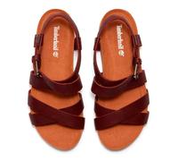 Sandales et nu-pieds Timberland BACKSTRAP SANDAL pour Femme 41 Bordeaux