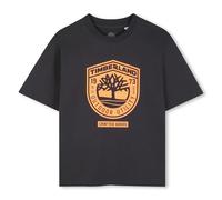 Timberland T-Shirt Boy's, Grey, 10 Years