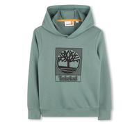 Timberland T60383 Pull pour garçon, Pin, 14 Ans