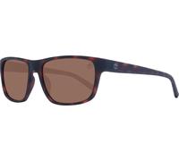 Timberland TB9296 52H DARK HAVANA 60/17/140 Lunettes de soleil hommes