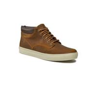 Timberland TFO ADV 2.0 CUPSOLE CHUKKA Chaussures Homme TIMBERLAND 44 1/2