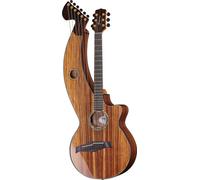 Timberline Guitars Timberline Guitars T70HGc-e Harp Guitar