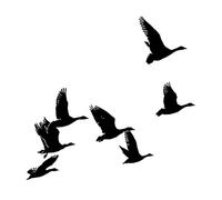 Timbre Clair Mignon Oiseau Volant Tampon/joint En Silicone Transparent Pour Bricolage Cartes De Scrapbooking Fabrication De Timbres
