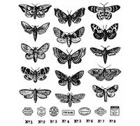 Timbres étirables Tim Holtz - 17,8 x 21,5 cm - Étude des mites