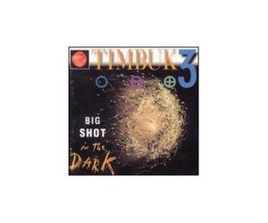 Timbuk 3 - Big Shot in The Dark