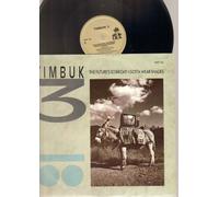 TIMBUK 3 - THE FUTURE'S SO BRIGHT I GOTTA WEAR SHADES - 12 inch vinyl