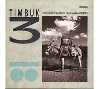 Timbuk 3 - The Future's So Bright I Gotta Wear Shades [7" VINYL]