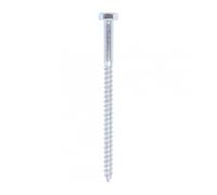 TIMco Coach Vis - BZP - 10.0 X 160-25 pièces