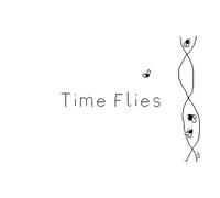 Time Flies (PS5 Account)