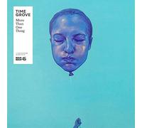 Time Grove - More Than One Thing