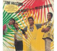 Time has come-The best of (US, 1985) / Vinyl record [Vinyl-LP]
