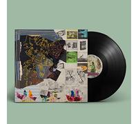 Animal Collective – Time Skiffs – Vinyle 12" – Domino