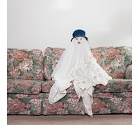 Time to Go Home by Chastity Belt (2015-05-04)