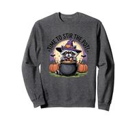 Time to Stir The Pot Raton Laveur Sorcière Halloween Sweatshirt