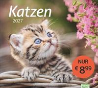 times&more Katzen Bildkalender 2027: Süße Samtpfoten im Wandkalender 2027. Kalender für Katzenfans - jeden Monat ein Hingucker. Hochwertiger Fotokalender im Format 30 x 27 cm