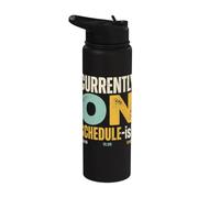 Timestamp Humor Currently On Schedule-ish Stainless Steel Insulated Water Bottle