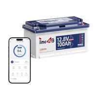 Timeusb Batterie Lithium 12V 100Ah Bluetooth H190 Batterie LiFePO4 avec Protection à Basse Température,Smart 100A BMS,Max.15000 Cycles Profonds 20,48kWh parfait pour Camping-Cars Européens DIN H8 L5