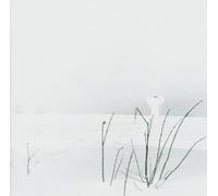 Timo Rautiainen & Trio Niskala - in Frostigen T Lern [Import]