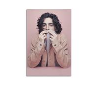 Timothee Chalamet Poster sur toile pour chambre à coucher, bureau, chambre, cadeau 30 x 45 cm