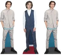 Timothee Chalamet - Set de 3 décorations de table