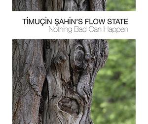 Timucin Sahin'S Flow State - Nothing Bad Can Happen