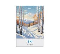 Tin Signs Métal Affiches de ski du Vermont plaque en métal, vintage plaque Poster mural Ornement Maison/café/bar Décor 30x40cm