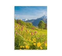 tin signs，Vue sur les prairies fleuries avec le massif du Watzmann dans les Alpes de Berchtesgaden.，Décoration murale d'intérieur pour cuisine, boulangerie, café, bar, ferme, restaurants, café-AP68