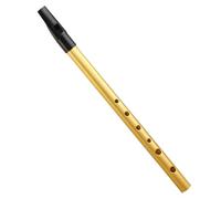 Tin Whistle Irlandais en La D, Sourdine à Six Orifices avec Étui de Rangement et Partitions, Instrument de Musique Portable de 30cm pour Débutants, Intermédiaires et Musiciens Experts (Or)
