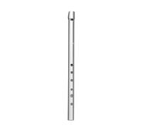 Tin Whistle pour Débutants, Argent, D | Métallique, Flûte Irlandaise, pour Initiation Musicale