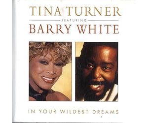 Tina Turner - in Your Wildest Dreams(USA GR Boitier)