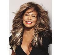 Tina Turner On 2 X Shows Dvd