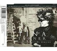 Tina Turner - Something Beautiful Remains