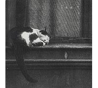 Tindersticks - City Sickness / 3 Titres