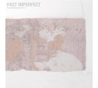 Tindersticks: PAST IMPERFECT The Best Of Tindersticks 92-21/ by Tindersticks