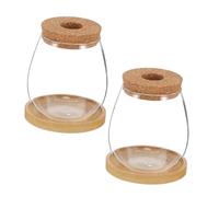 TINEASUR 2ensembles Vase Hydroponique Verre Transparent avec Soucoupe pour Culture De Plantes Intérieur Et De Bureau
