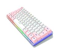 TINEASUR Clavier Mécanique Compact 61 Touches Éclairage RGB, Matériau Abs Solide, Interface USB, pour Jeu et Travail