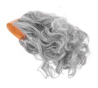 TINEASUR Perruque Bouclée Synthétique Pour Hommes Coiffure De Professeur Pour Cosplay Et Fêtes Idéale Pour Vieillards Léger Et Confortable