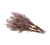 TINEASUR Petit Bouquet de Fleurs Séchées Naturel 3 Branches de Gypsophile Rouge pour Décoration Intérieure Facile à Transporter et Longue Conservation