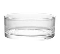 TINEASUR Pot de Fleurs Hydroponique en Verre Transparent 20x20x8 Cm, Grand Vase à Eau Ménager pour Plantes D’intérieur, Terrarium Décoratif Balcon, Bureau et Jardin