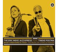 Tineke Postma - What Kinda Bird Is This [Compact Discs]