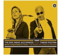 Tineke Postma - What Kinda Bird Is This [Compact Discs]
