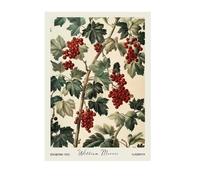 TINGGATG Affiche Rétro Sur Toile Représentant Des Fruits Des Légumes Des Pommes De Terre Et Du Citron Décoration Murale Pour Salle À Manger Bureau 50X70Cm