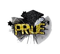 TingHaoO Pince à cheveux pour étudiant en maille pour remise de diplôme, chapeau de célibataire, décoration de cheveux pour fête de remise de diplôme