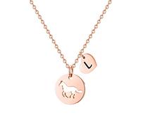 TINGN Chevaux et filles - Cadeau pour femme - En acier inoxydable - Cœur creux - Pendentif cheval - Cadeau pour filles et femmes - Chevaux - Chaîne pour adolescentes et petites filles, 16"+2", Acier