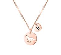 TINGN Collier avec pendentif en forme de cheval creux en acier inoxydable en forme de cœur - Cadeau pour femmes et filles, 16"+2", Acier inoxydable, Pas de gemme