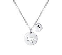 TINGN Collier avec pendentif en forme de cheval et pendentif en forme de cœur avec initiale en acier inoxydable avec silhouette de cheval découpée, cadeau pour femme et fille, 16"+2", Acier inoxydable