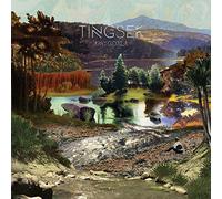 Tingsek - Amygdala (Vinyl)