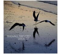 Birds E