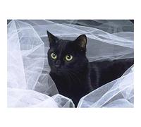 Tinnfea DIY 5D Diamant Peinture Kits de Forage Complet, round drill Chat Noir 40x50cm Diamond Painting,Kit Diamantée Pour Enfants, Broderie Point Croix Home Décoration Murale