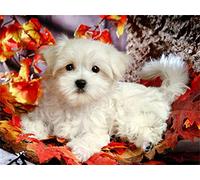 Tinnoon Diamond Painting Kit Complet, Chien Diamant Broderie Kits De Broderie Au Point De Croix Strass Peinture, 40x50cm Tableau Perle Diamant a Coller Enfant pour à La Maison ou le Salon for Décor